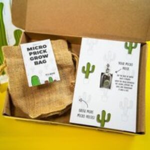 Personalised Grow Micro Pricks Mini Cactus Kit