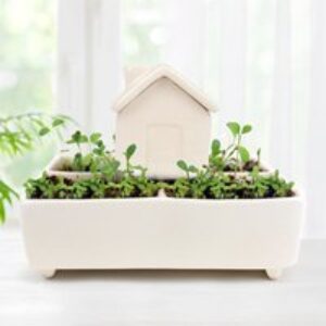 Self Watering Herb House Grow Kit