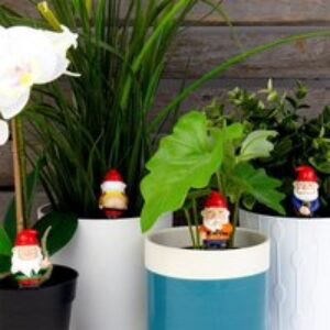 Mini Plant Pot Naughty Gnomes – Set of 4