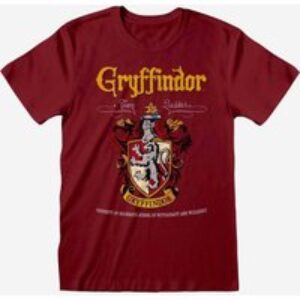 Harry Potter Gryffindor Quidditch T-Shirt XX-Large
