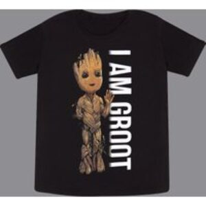 Guardians Of The Galaxy: I am Groot Kids T-Shirt 12-13 Years