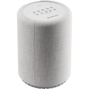 AUDIO PRO G10 Wireless Multi-room Speaker with Google Assistant - Light Grey, Silver/Grey