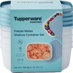 TUPPERWARE Freezer Mates 4-piece Starter Set - Frosted with Blue Lid