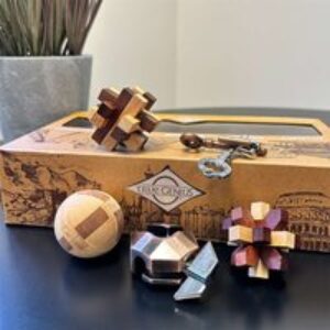 True Genius Curated Collection Wooden Puzzles