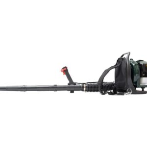 WEBB WEBPB33 Leaf Blower - Green & Black