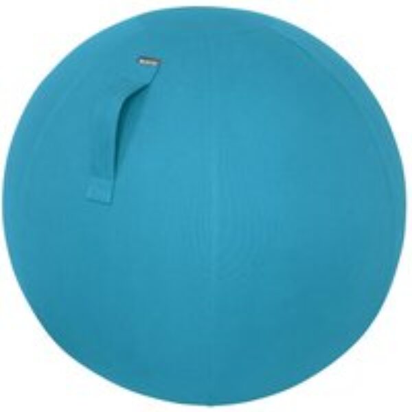 LEITZ Ergo Cosy Sitting Ball - Blue