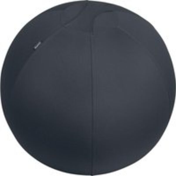 LEITZ Ergo Active Sitting Ball - Dark Grey