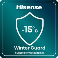 Hisense FV105D4BW21